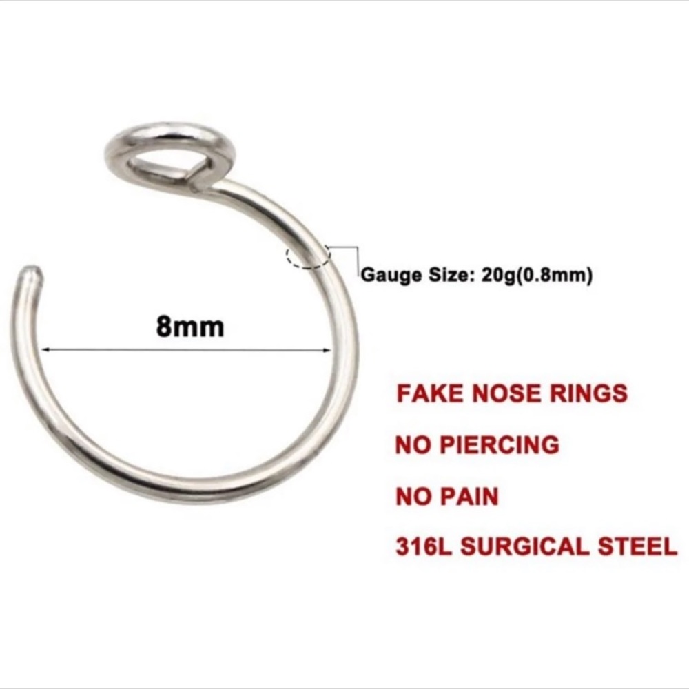 NWOT *FAKE* Nose Ring